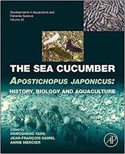 预售 Apostichopus The Cucumber japonicus Sea