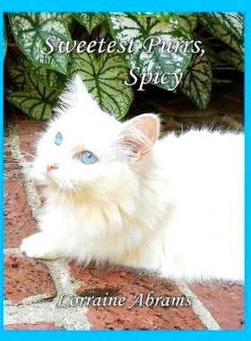 预订 Sweetest Purrs, Spicy: 9781628801378