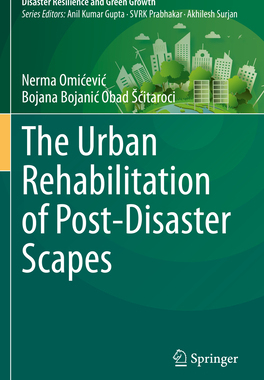 预订 The Urban Rehabilitation of Post-Disaster Scapes