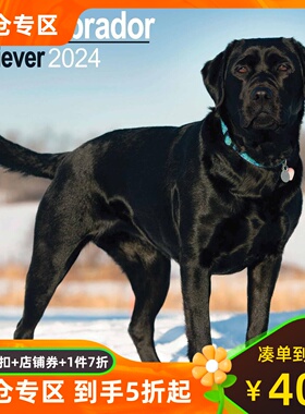 黑色拉布拉多寻回犬2024年挂历 宠物摄影 英文原版 进口日历  Labrador Retriever Black Wall Calendar 2024