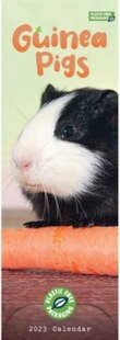 Calendar Pigs Slim 9781529825350 2023 预订 Guinea