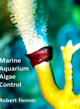 预订 Marine Aquarium Algae Control: 9781492945611