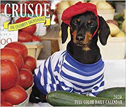 【预售】Crusoe the Celebrity Dachshund 2020 Box Calendar (Dog Breed Calendar)