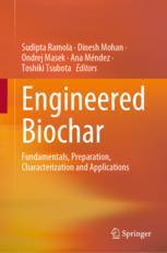 【预订】Engineered Biochar 9789811924873