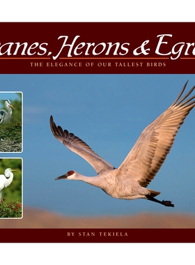 预订 Cranes, Herons & Egrets 鹤鹭和白鹭:我们*的鸟的优雅: 9781591935841