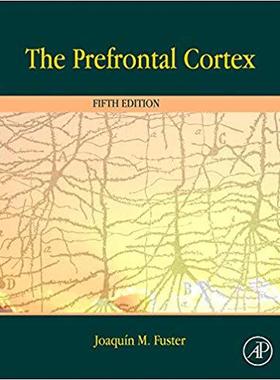 【预售】The Prefrontal Cortex