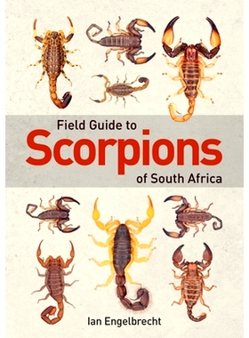 预订 Field Guide to Scorpions of South Africa 南非蝎子实地指南: 9781775845744