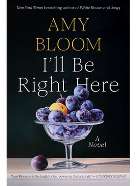 预订 I’ll Be Right Here: A Novel 我会在这里: 9781984801722