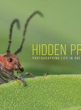 [预订]Hidden Prairie: Photographing Life in One Square Meter 9781609386931