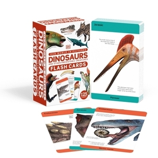 预订 Our World in Pictures Dinosaurs and Other Prehistoric Creatures Flash Cards 我们的世界图片:恐龙和其他史前生物闪卡: