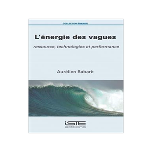 [预订]L’énergie des vagues : ressource, technologies et performance 9781784053857