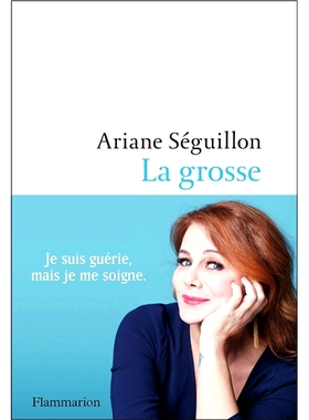 预订 La grosse : récit *重要的一件事：故事: 9782080263964