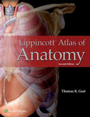 【预订】Lippincott Atlas of Anatomy