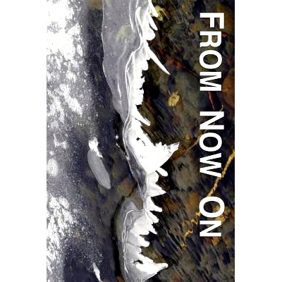预订 From Now On: Easing and Transforming Lives Interrupted by Illness or Injury: an Introduction to the Philosophy, Pra