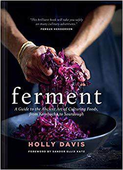 【预售】Ferment: A Guide to the Ancient Art of Culturing Foods, from Kombucha to Sourdough