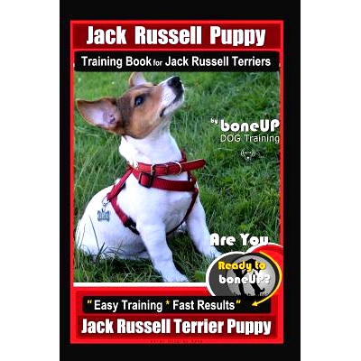 预订 Jack Russell Puppy Training Book for Jack Russell Terriers by Boneup Dog Training: Are You Ready to Bone Up? Easy T