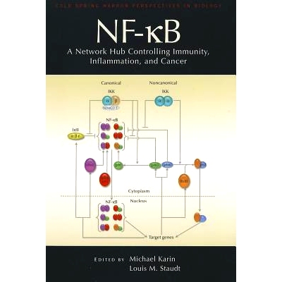 预订 Nf-κb: A Network Hub Controlling Immunity, Inflammation, and Cancer: 9781936113552