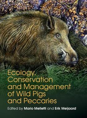【预订】Ecology, Conservation and Management of Wild Pigs and Peccaries