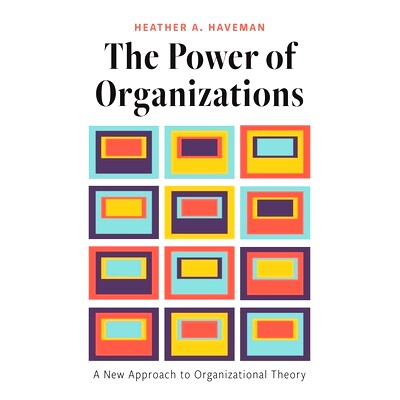 预订 The Power of Organizations: A New Approach to Organizational Theory 组织的力量：组织理论的新方法: 9780691238043