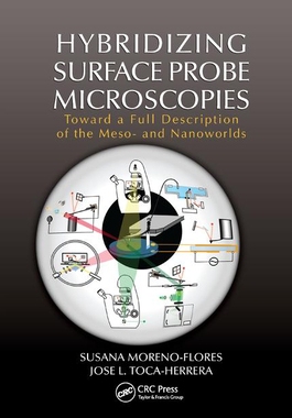 【预订】Hybridizing Surface Probe Microscopies