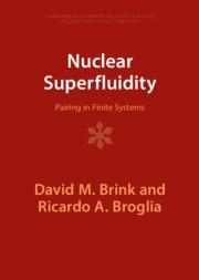 [预订]Nuclear Superfluidity 9781009401876