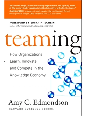 Teaming: How Organizations Learn, Innovate, and Compete in the Knowledge Economy: How Organizations Learn, Innovate, An