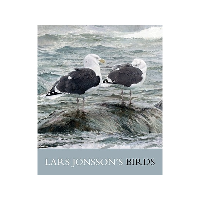 预订 Lars Jonsson's Birds: Paintings from a Near Horizon