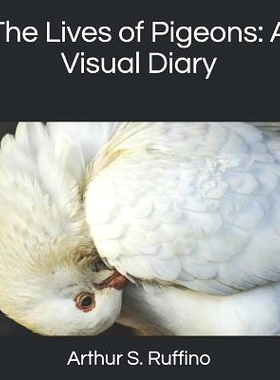 预订 The Lives of Pigeons: A Visual Diary: 9781794097865