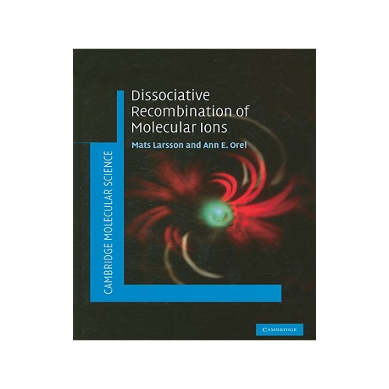 【预售】Dissociative Recombination of Molecular Ions