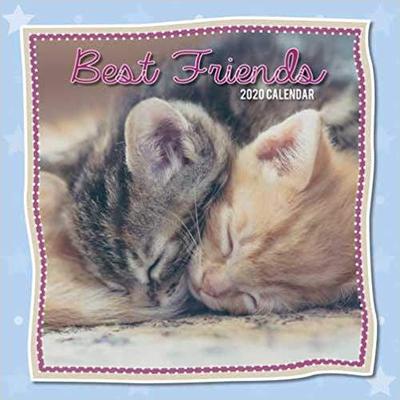 【预售】Best Friends : 2020 Square Wall Calendar
