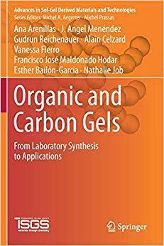 【预售】Organic and Carbon Gels: From Laboratory Synthesis to Applications