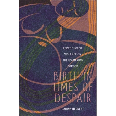 预订 Birth in Times of Despair: Reproductive Violence on the Us-Mexico Border 9781479832071