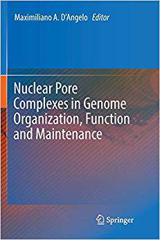 【预售】Nuclear Pore Complexes in Genome Organization, Function and Maintenance