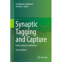 From Synapses to Behavior