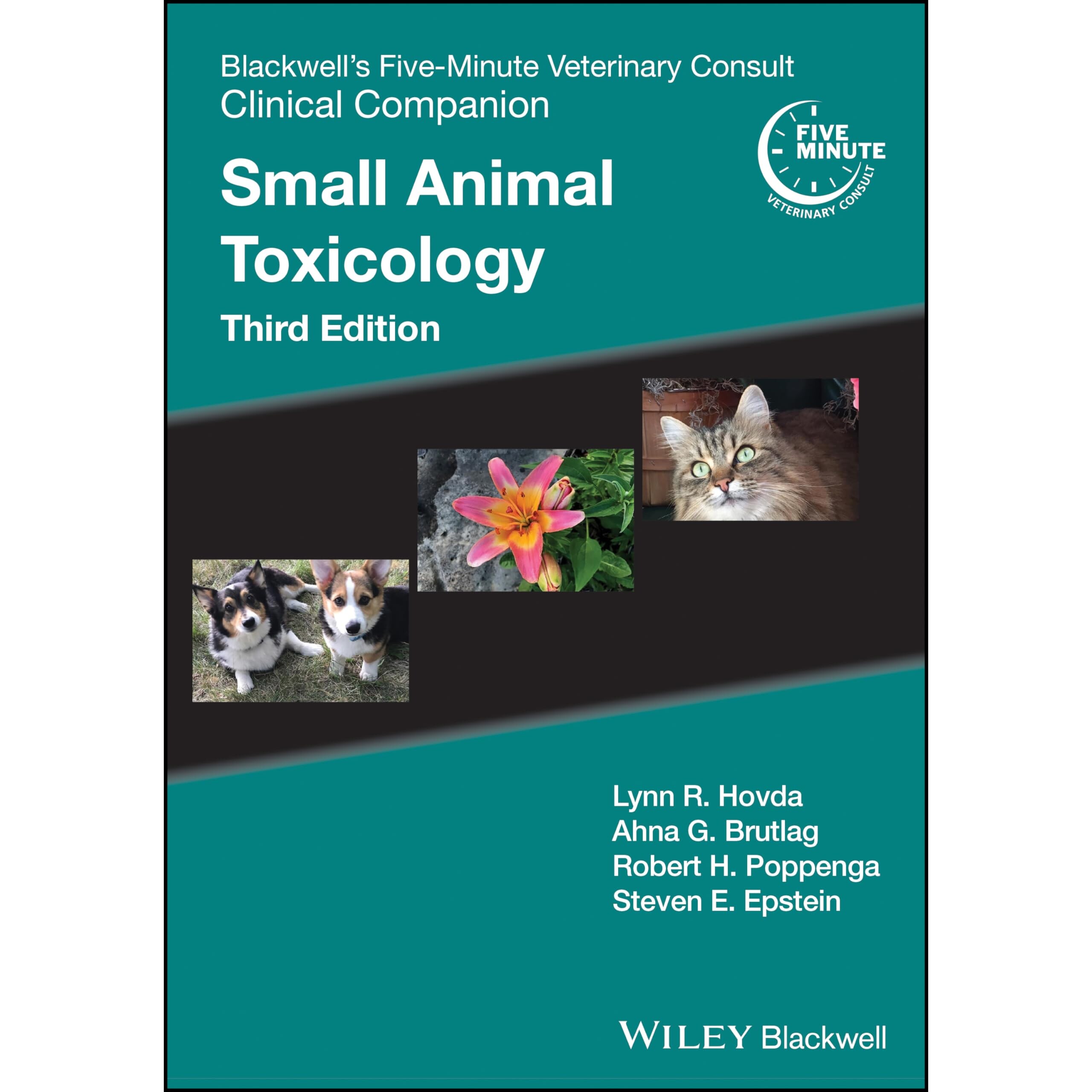 预订 Blackwell’S Five-Minute Veterinary Consult Clinical Companion Small Animal Toxicology 布莱克威尔的5分钟兽医咨询临
