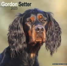 【预订】Gordon Setter 2023 Wall Calendar 9781839417139