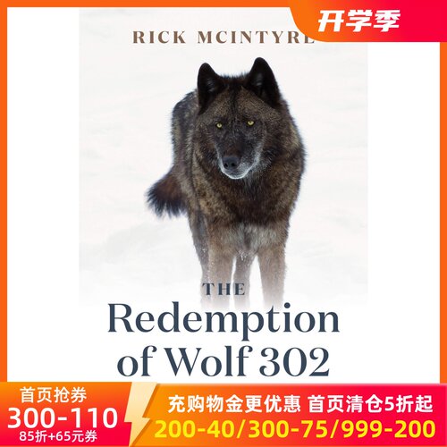 302号狼的救赎 黄石公园 狼王四部曲系列3 英文原版 The Redemption of Wolf 302: From Renegade to Yellowstone Alpha Male