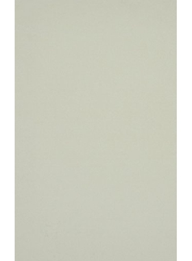 预订 American Studies in a Moment of Danger: 9780816639489