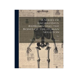 [预订]A Series of Engravings, Representing the Bones of the Human Skeleton: With the Skeletons of Some of  9781020279638