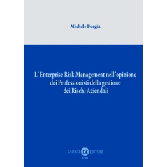 预订 L’enterprise risk management nell’opinione dei professionisti della gestione dei rischi aziendali: 9791259653833