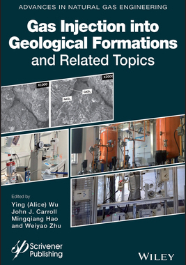 【预订】Gas Injection Into Geological Formations And Related Topics