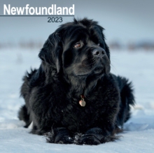 【预订】Newfoundland 2023 Wall Calendar 9781839417337