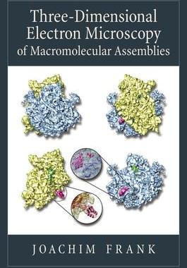 Three-Dimensional Electron Microscopy of Macromolecular Assemblies