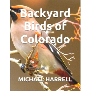 Birds Colorado 科罗拉多州 9798309121465 预订 后院鸟类 Backyard