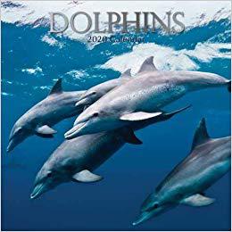 美国库房发货,通常付款后5-8周到货!