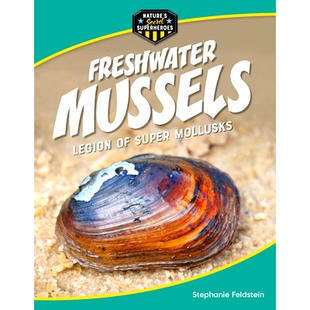 预订 Freshwater Mussels: Legion of Super Mollusks: 9781668956397