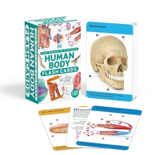 预订 Our World in Pictures Human Body Flash Cards 我们的世界图片人体抽认卡: 9780241620113