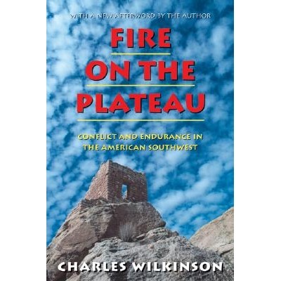 Conflict and Endurance in the American S