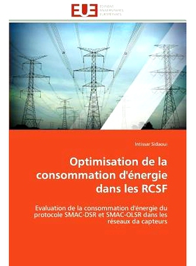预订 Optimisation de La Consommation D’Energie Dans Les Rcsf: 9786131595073