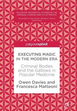 【预订】Executing Magic in the Modern Era